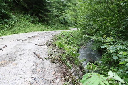 Neurje_Občina Kamnik (3)